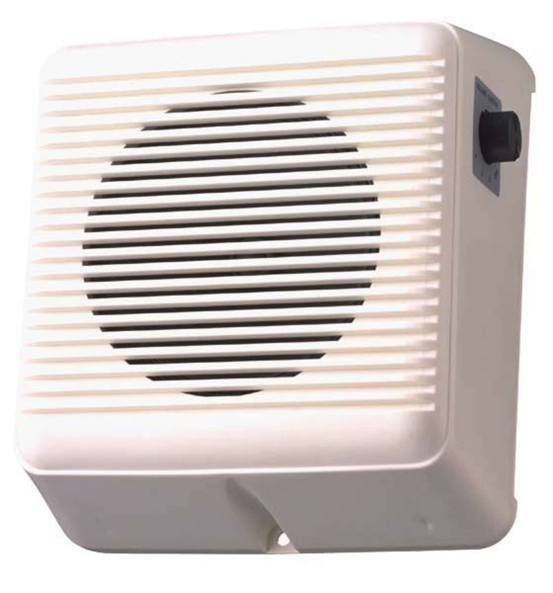Wall Speaker