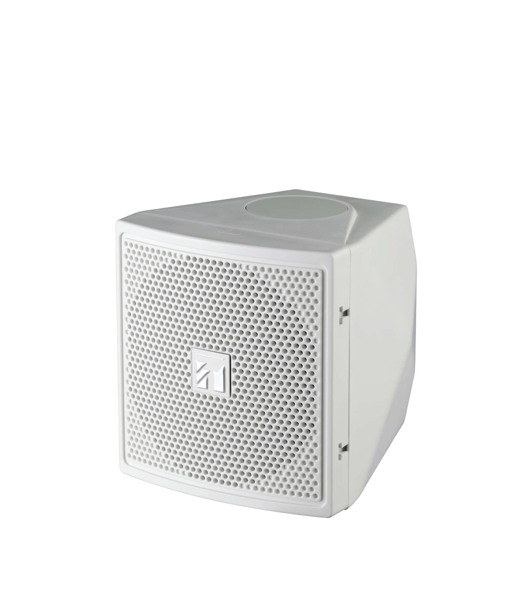 Satellite Speaker